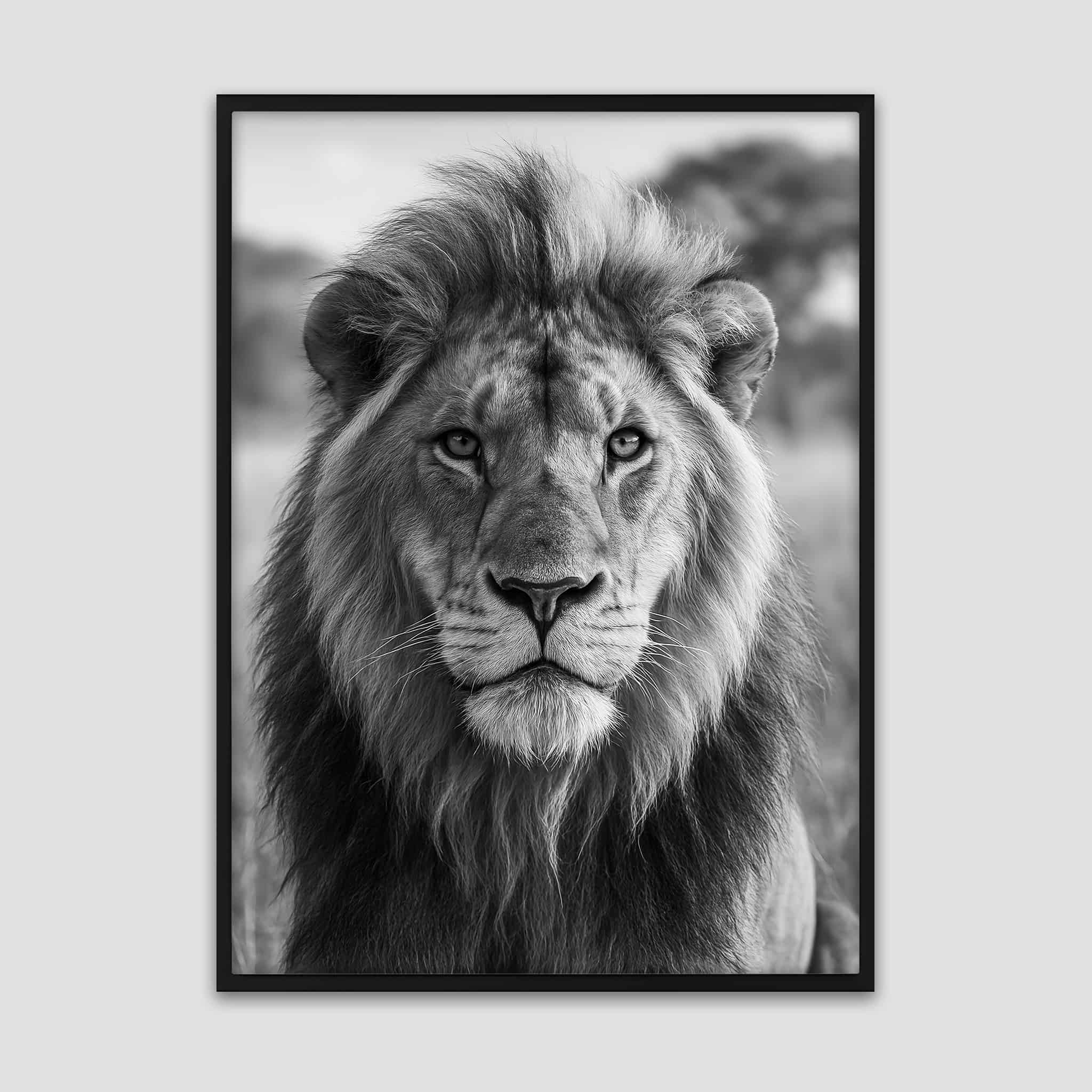 Lion Portrait Poster