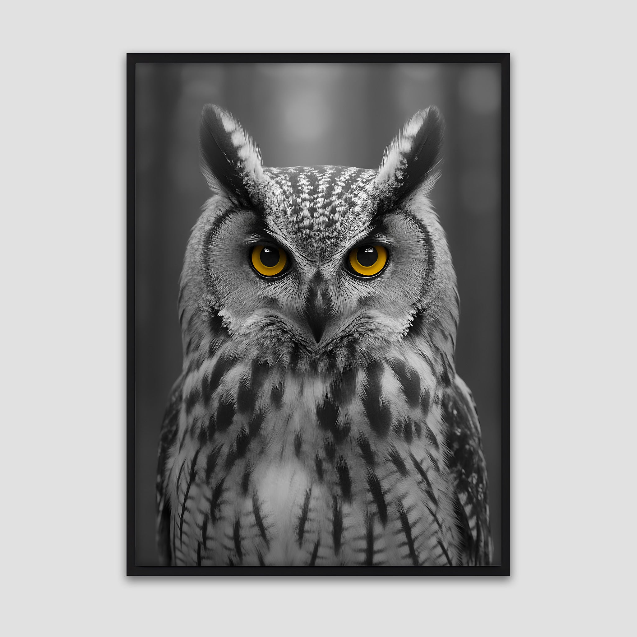 Owl Portrait Poster