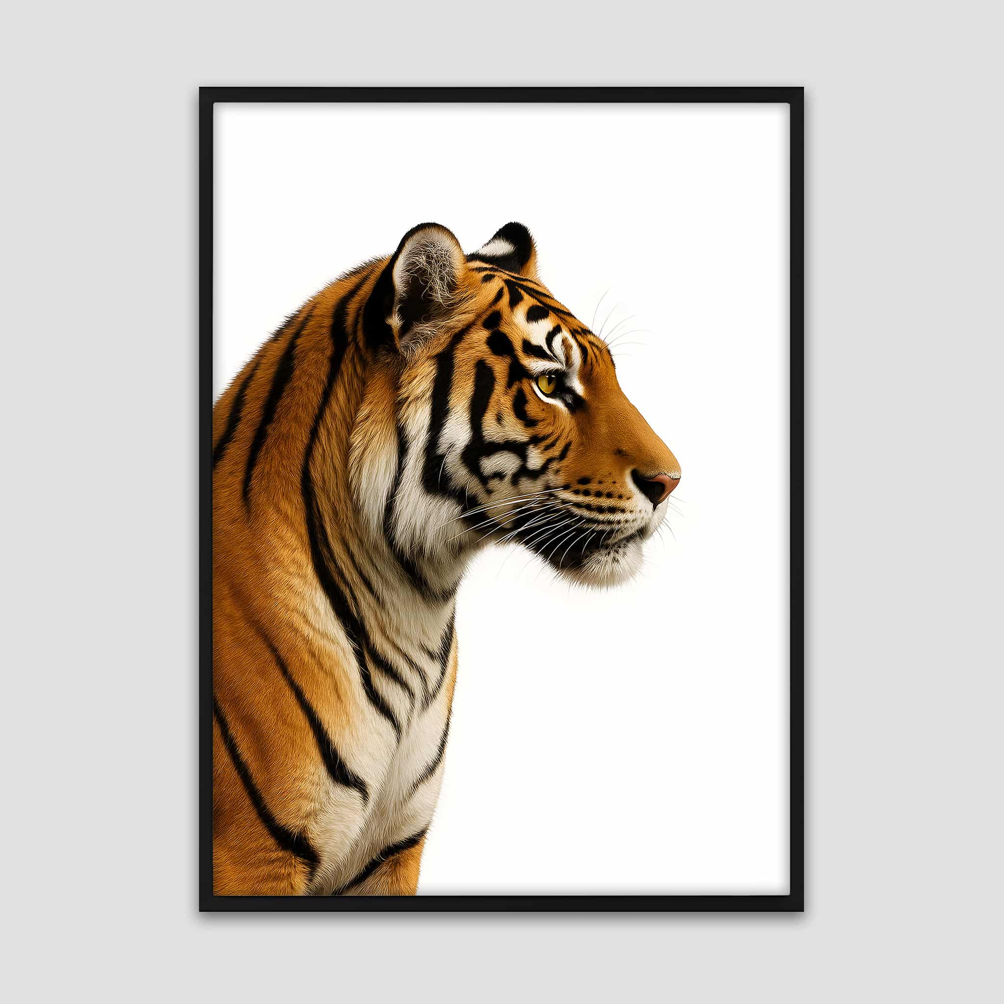 Tiger Portrait Poster